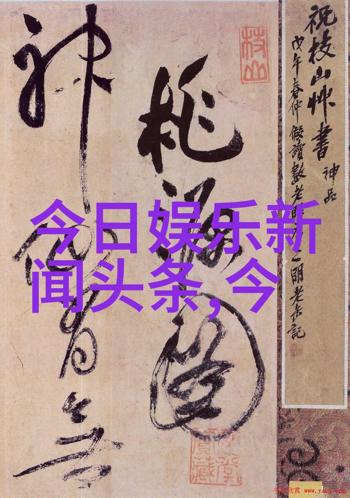 岳父的武术秘笈是如何成为电视剧中的传奇人物