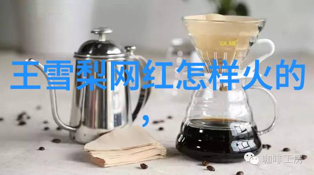 薛凯琪 - 薛凯琪的音乐梦想从小鬼派对到成长