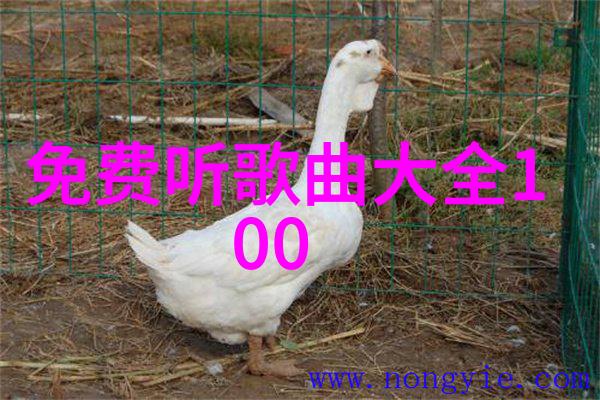 筷子入屁眼不掉视频餐桌礼仪与科技融合的奇妙界限