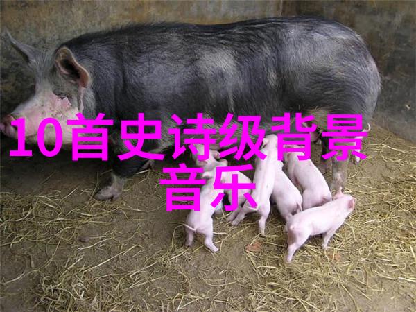绽放的诱惑性感写真背后的艺术与魅力
