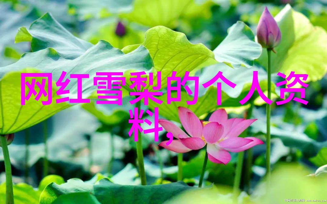 网红雪梨个人介绍时尚博主美食达人生活分享
