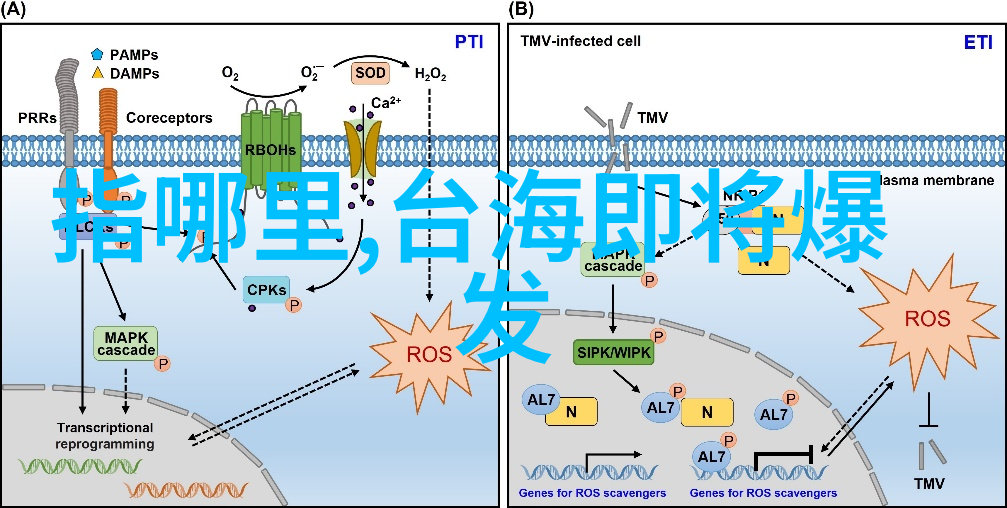 逃出大英博物馆电影揭秘历史与冒险的交织