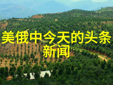 工作与休闲的新平衡如何在最好的时刻享受最佳娱乐时代