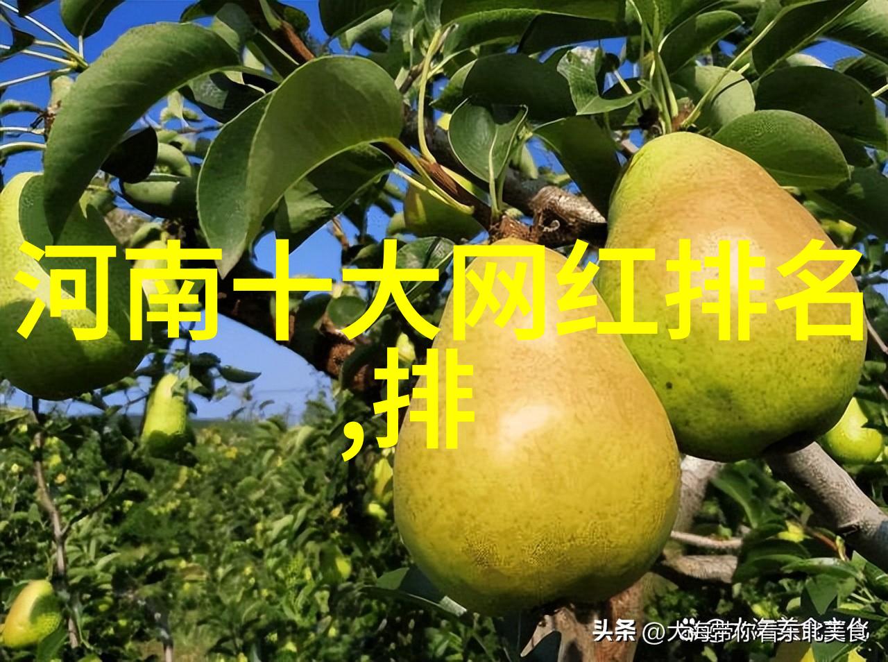百年孤独自主之路上的无声呼唤