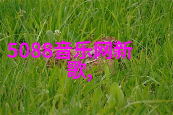 逆袭八卦从天涯沦落到星途辉煌的奇迹之旅
