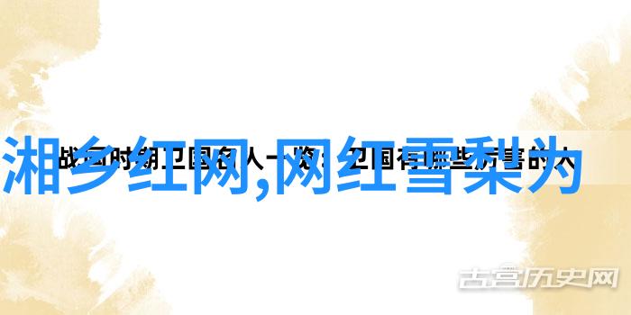 在大陆合法吗剖析法律边界与社会伦理
