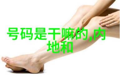 真实之谜揭秘写真的艺术与奥秘