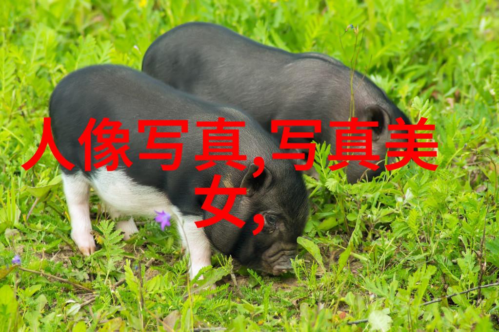 爱的裂痕黄晓明与Angelababy离婚背后的秘密