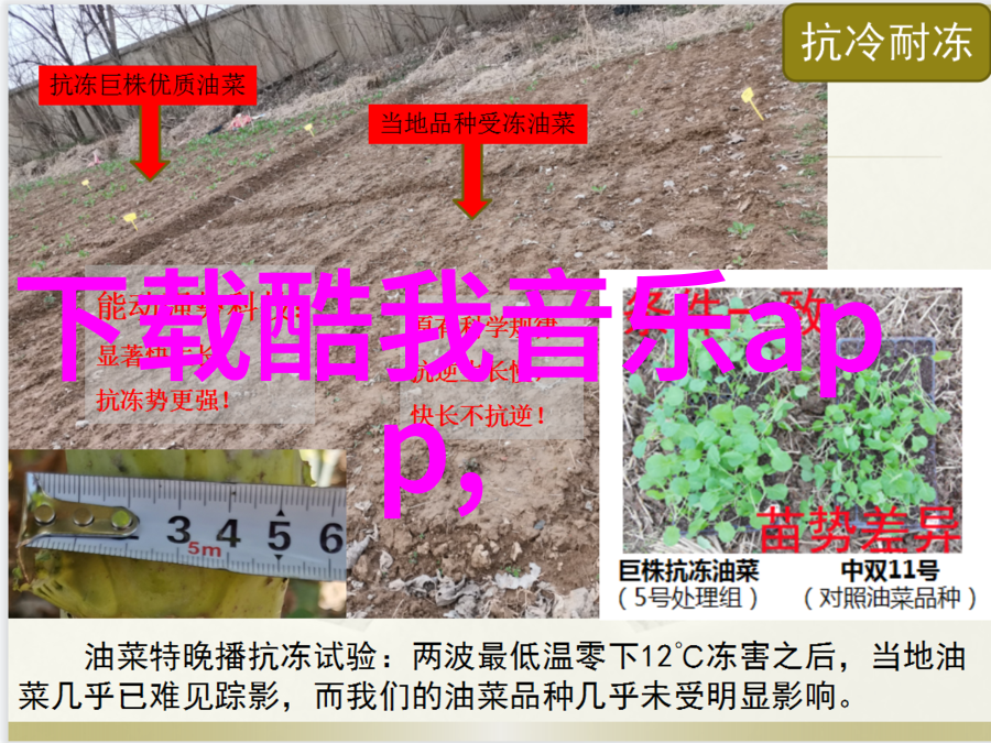 揭秘天地图象八卦入门基础知识全解