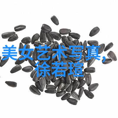 心灵伴侣一百首纯净旋律引领你的心灵旅行