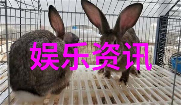 亚洲写真探秘揭秘一二三区的美丽