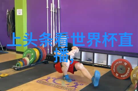 第一皇妃的秘密生活宫廷斗争与爱情纠葛