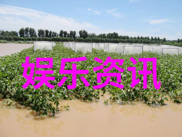 主题我与全棵女性艺术写真一个摄影师的见证