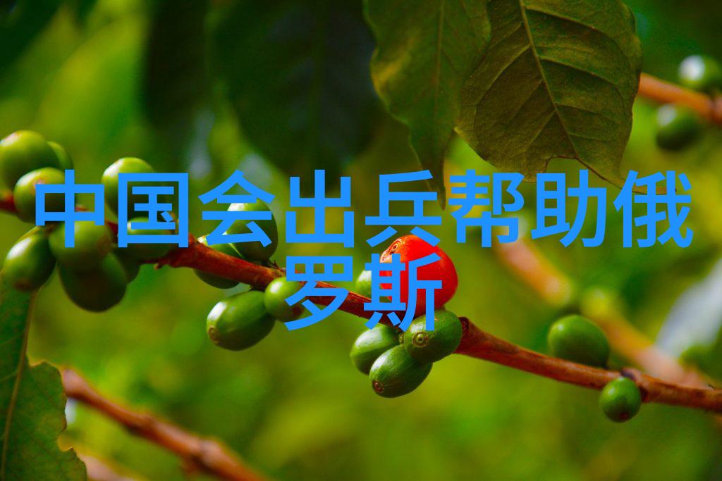 最近有什么好看的古装电视剧我推荐的那些让人沉迷的古装剧