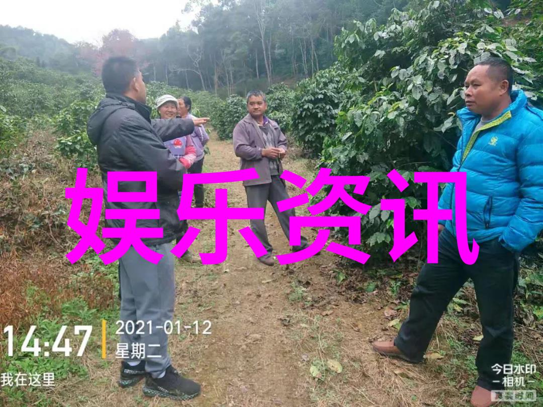 寡妇田前桃花多古色古香的农家情深
