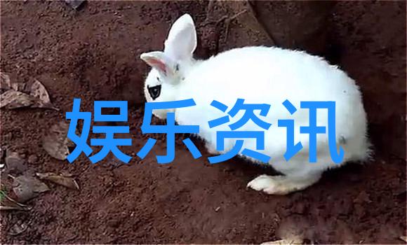 豆瓣电影沸腾天气预爆都市神仙喜剧全网上线反复传唱的好评如潮肖央带来阳光驱散阴霾让我们欢乐过年
