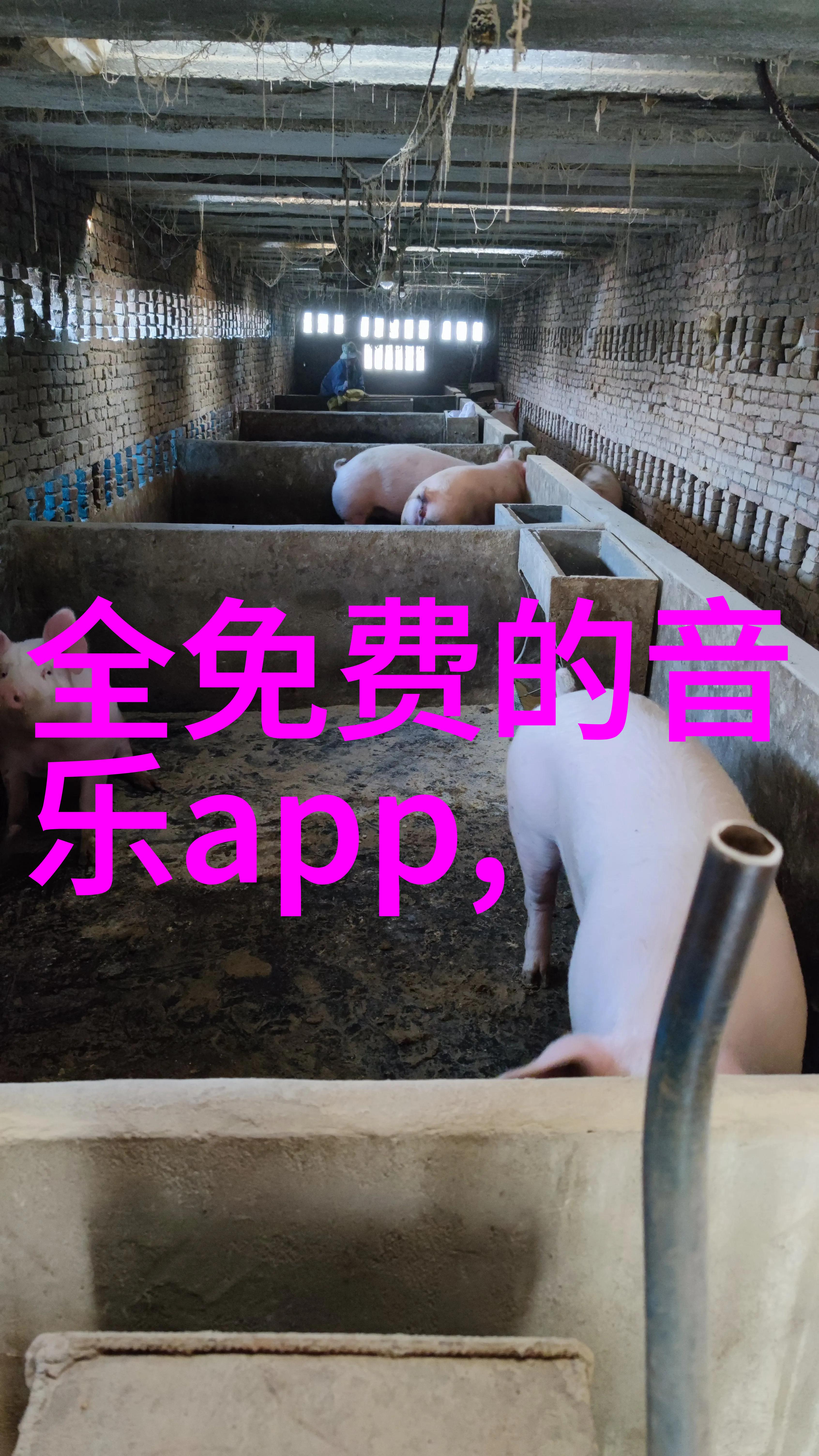 科学家们对此类传统观念持何种态度并有哪些研究成果值得关注