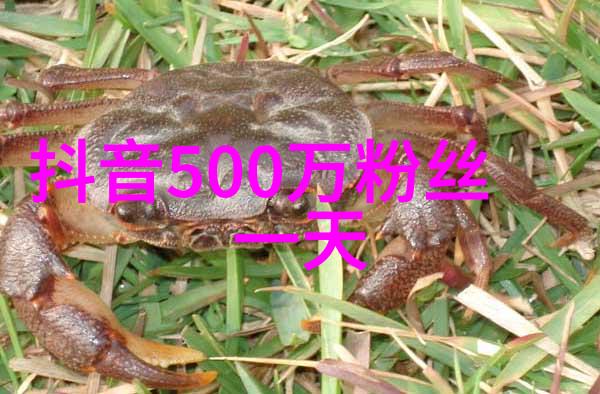 寂灭天骄绝命狂神的最后章