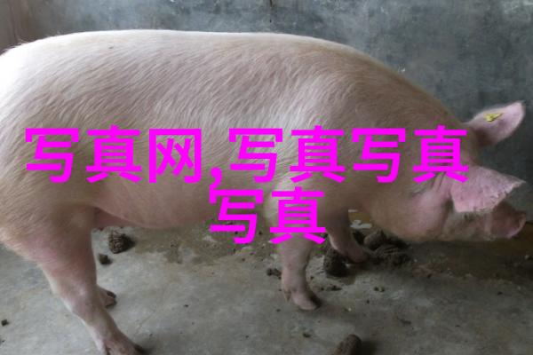 新闻热点揭秘科技巨头隐私政策变革用户权益新标准正在形成