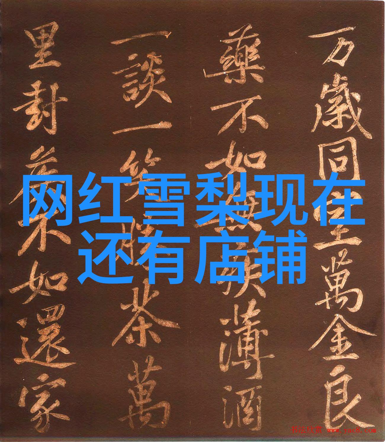 番茄影视大全我来给你盘点那些爆款剧集和电影你绝对没看过