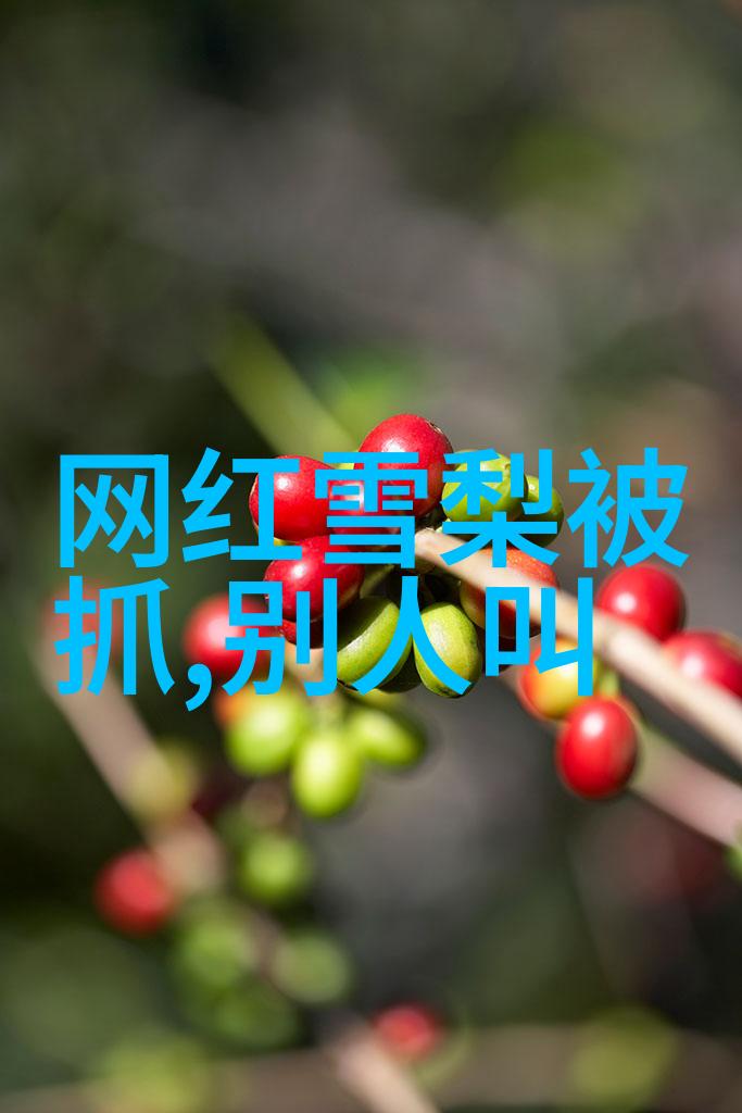 不辞春山-探寻往昔回忆与未来的交响曲