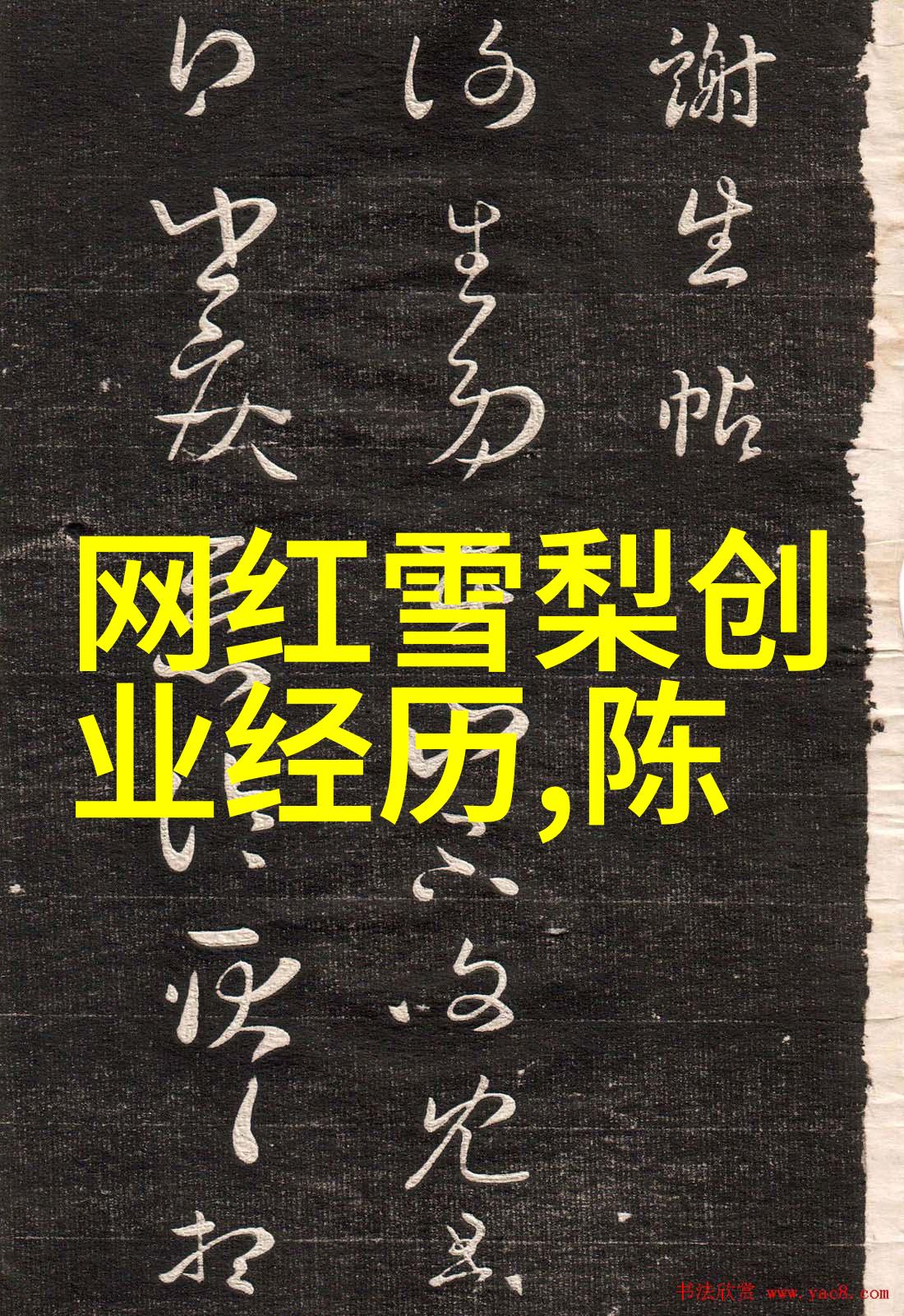 网络审查与成人娱乐网站冲突与协同发展