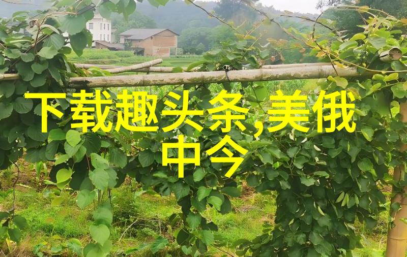 教导资源再分配探讨青娱乐在教育中的角色