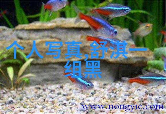 写真拍摄我是如何用一张照片记录下那个夏天的