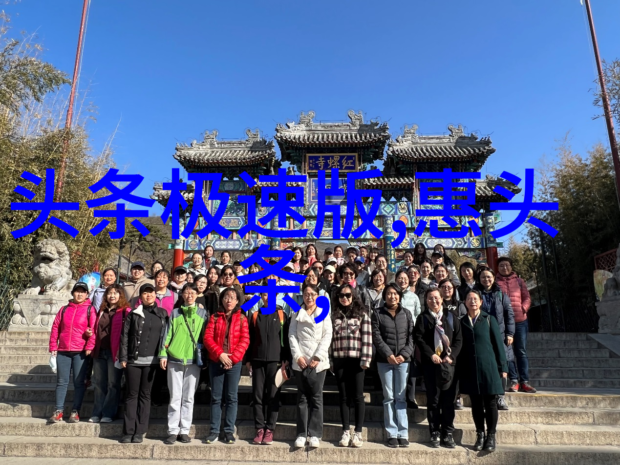 不仅限于免费看揭秘你对电视剧的深层喜爱