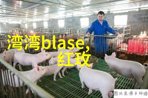 易经解读深度古代智慧的精髓