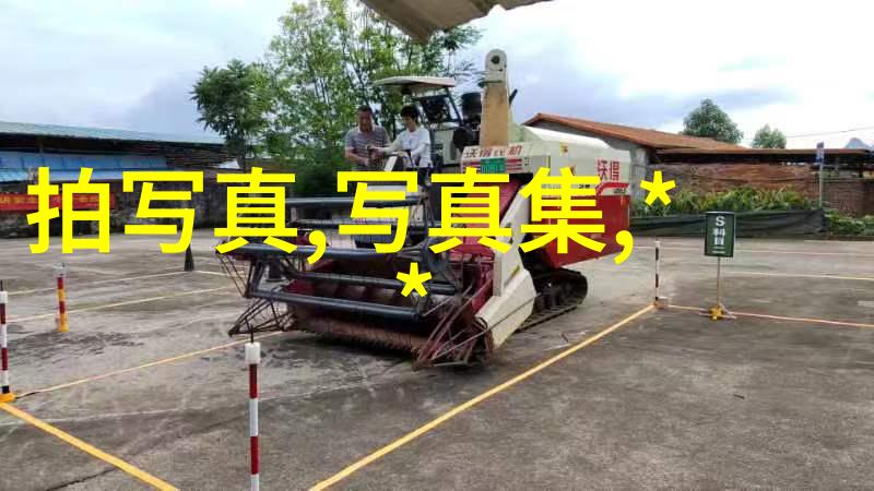 苏阳巡回音乐会北京站圆满结束西北摇滚在自然的怀抱中激情四射现场如同免费无损音乐网般自由放纵