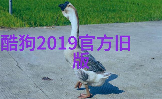 易经女人的十大忌讳我告诉你亲爱的女人们这些事儿得小心点