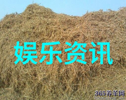 邓伦的个人生活是否也是他退出娱乐圈的一个原因之一