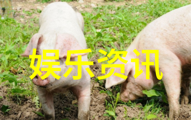 被压到落地玻璃窗前做视频生活趣事下的尴尬瞬间