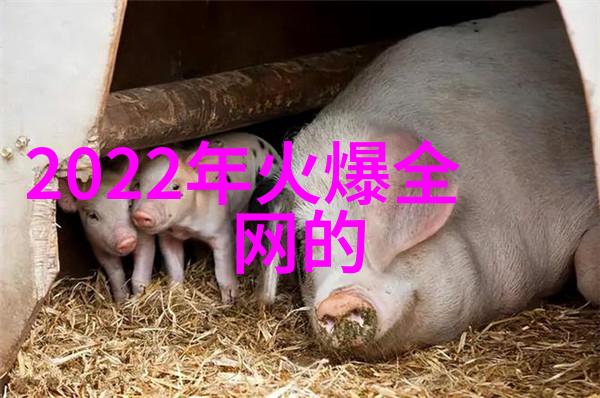 网红如何塑造青少年的消费观与价值追求