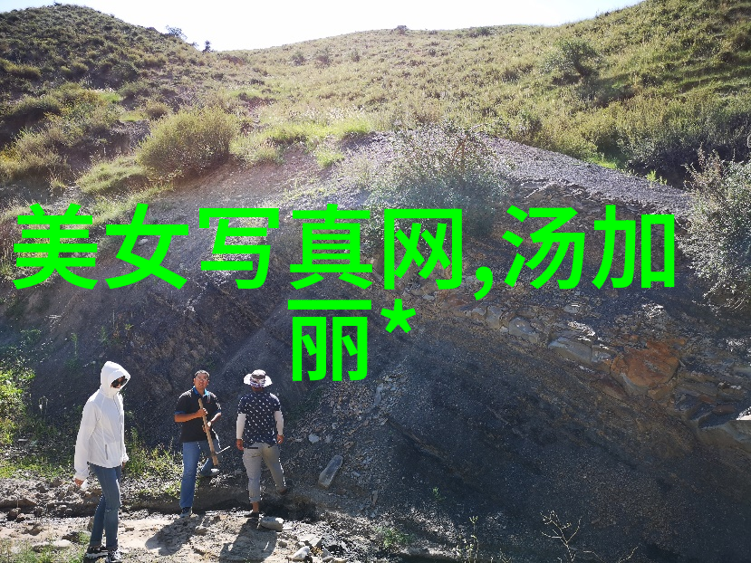 韩国综艺节目魅力大赏KBS娱乐花絮
