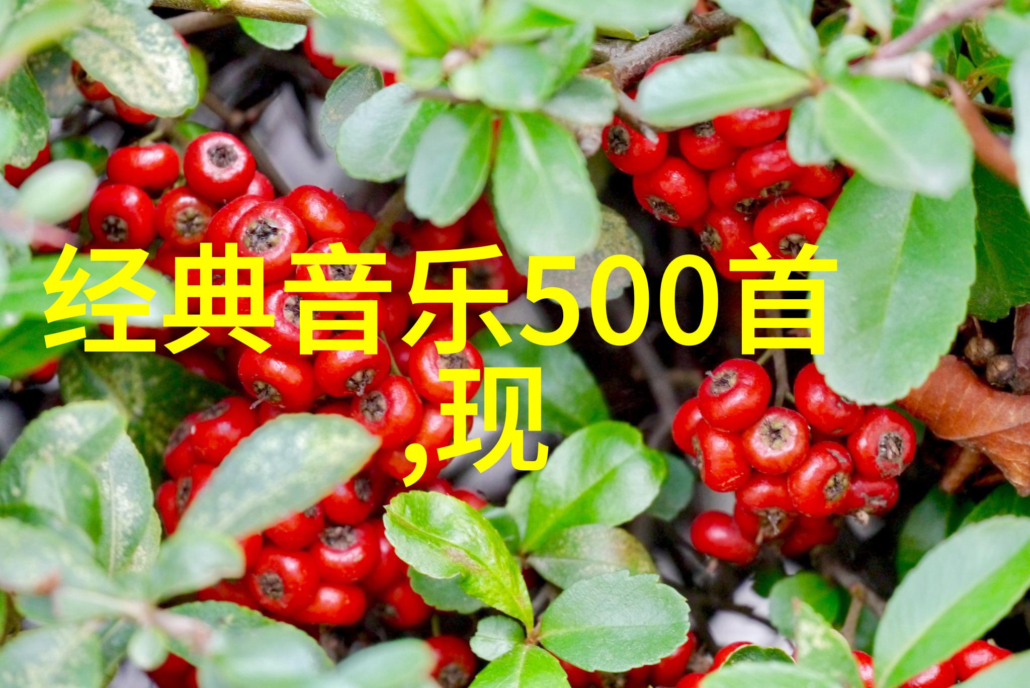 在拍照时张筱雨是否会考虑到后续画廊展示的情况