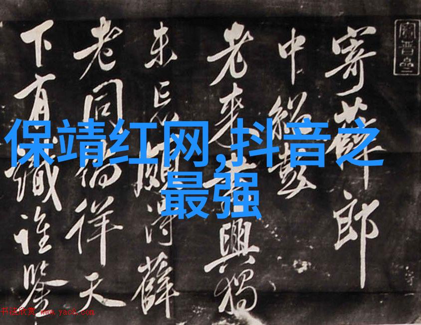 农村网红排行榜前十名我是如何成为乡间小镇的网络红人揭秘农村网红排行榜前十的秘密