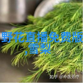 触动人心的画面捕捉悲欢瞬间的艺术力量