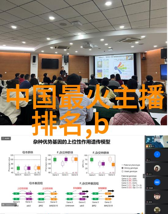 猫头鹰的舞裙法国时尚台上的梦幻纱幕