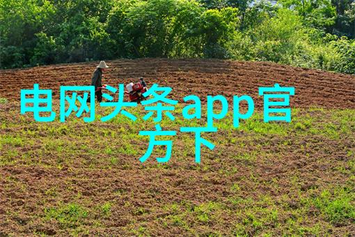 美学公式TXT无删减探索数字艺术的精髓与审美深度