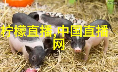 花火视频影视大全简介一站式解锁全球美剧电影资源