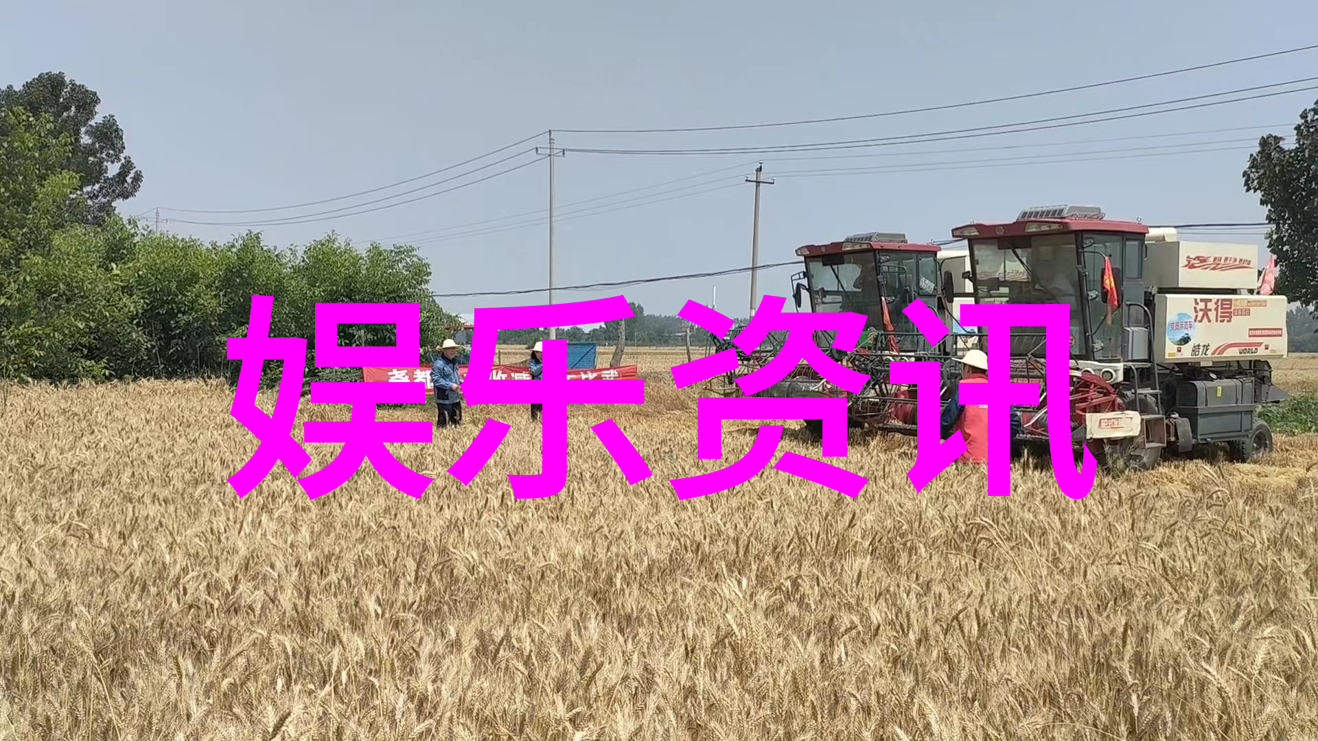 难道亮剑剧版十七年的人马不再有新网大意大利炮了吗团长却在月光影院免费视频的环境中哑火了吗