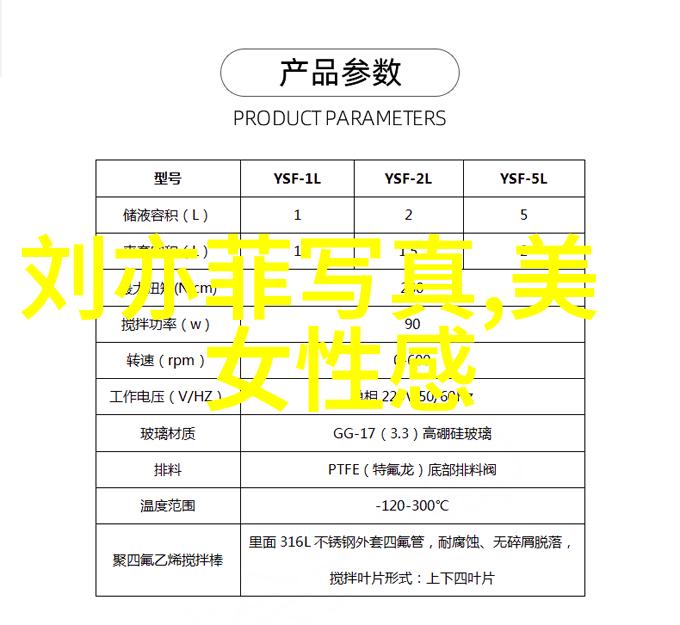地球上的主要大陆七大陆