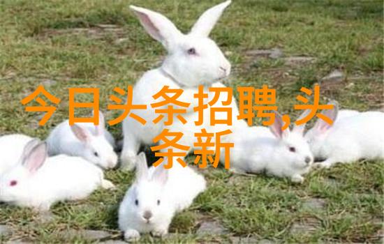 斗罗大陆完整版高清动漫免费观看神话级冒险在你眼前开启