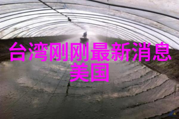 夜幕下的守望者城管大楼的亮灯之谜