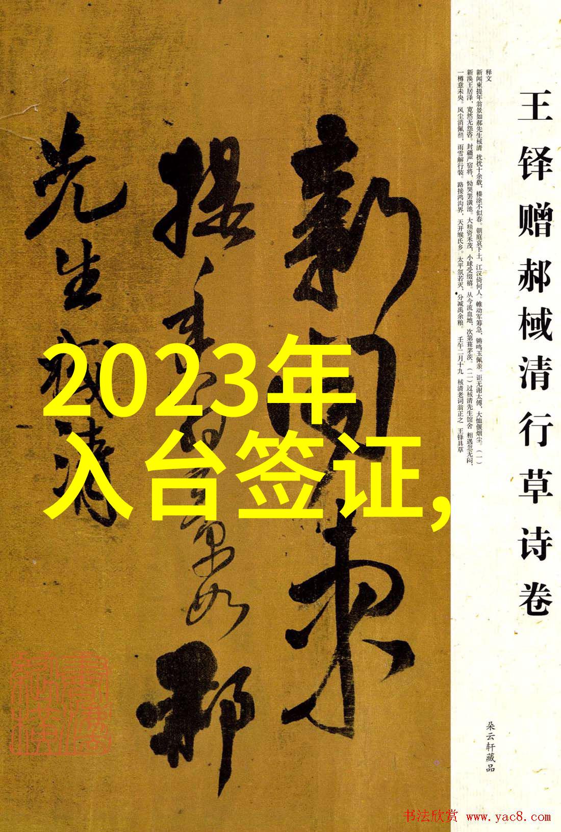 数字武器在台海冲突中的作用与风险分析