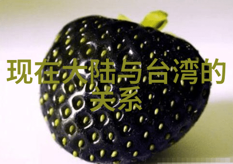 在檀健次参加的综艺节目中他最擅长的环节是什么