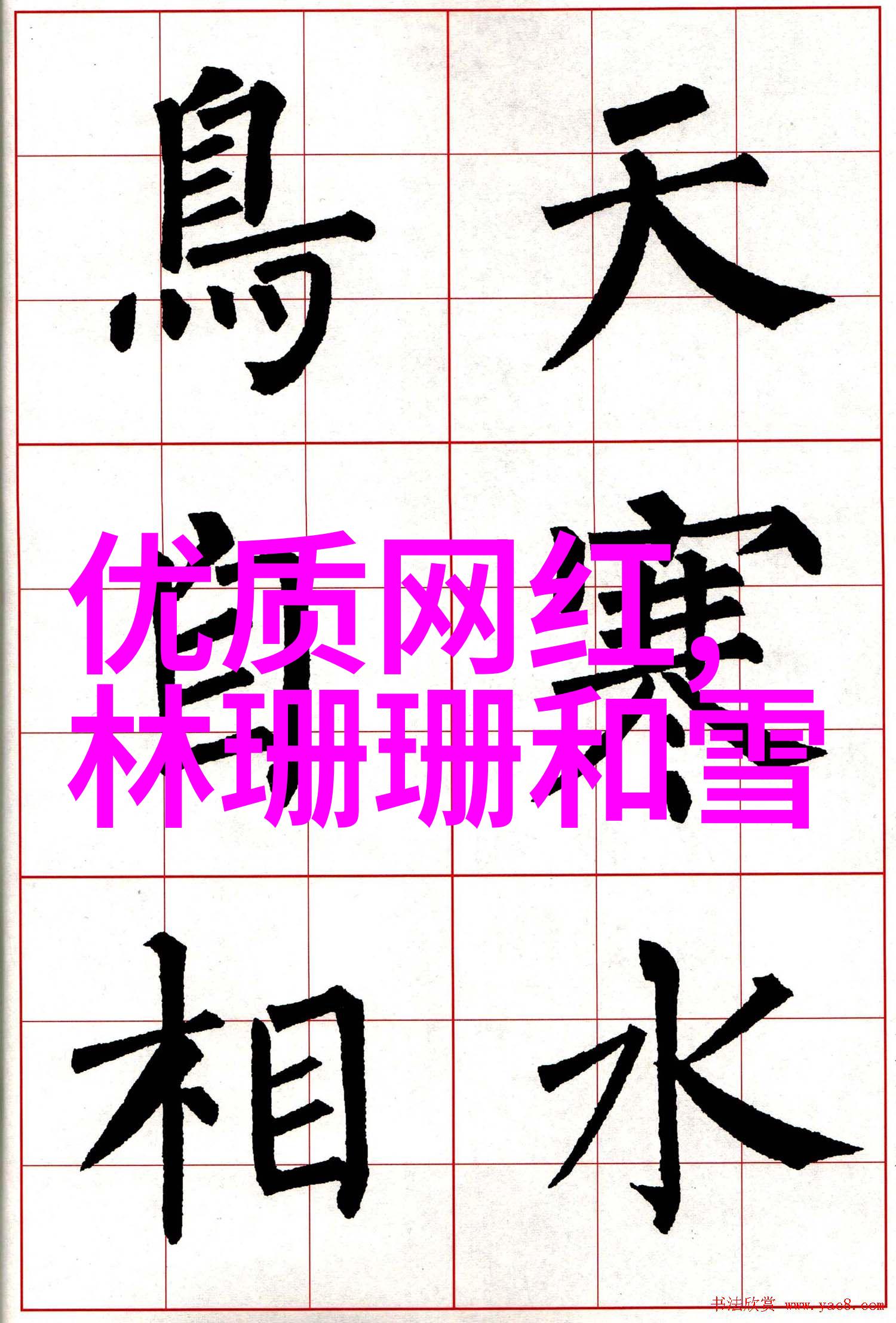镜头捕捉写真艺术的魅力