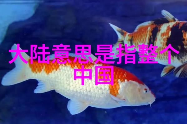 艺术无界简笔画图片大全探秘